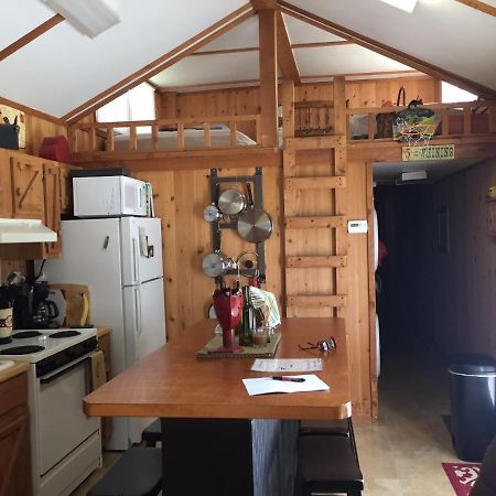 Cozy Cabin On The Bayou Maurepas Екстериор снимка
