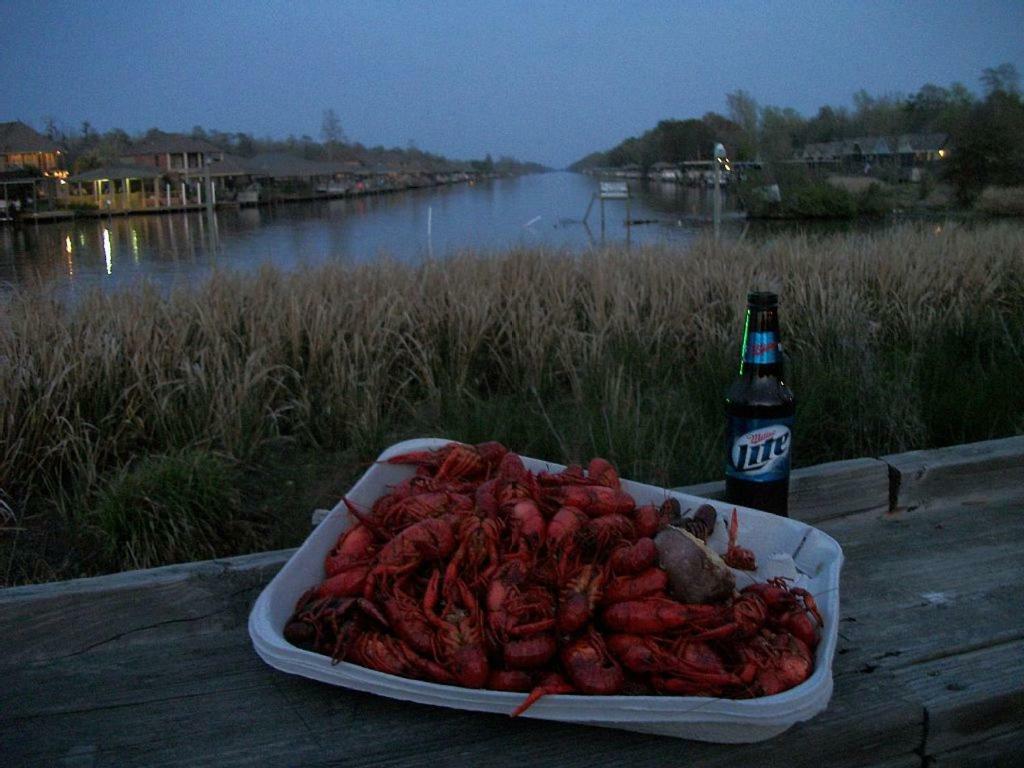 Cozy Cabin On The Bayou Maurepas Екстериор снимка